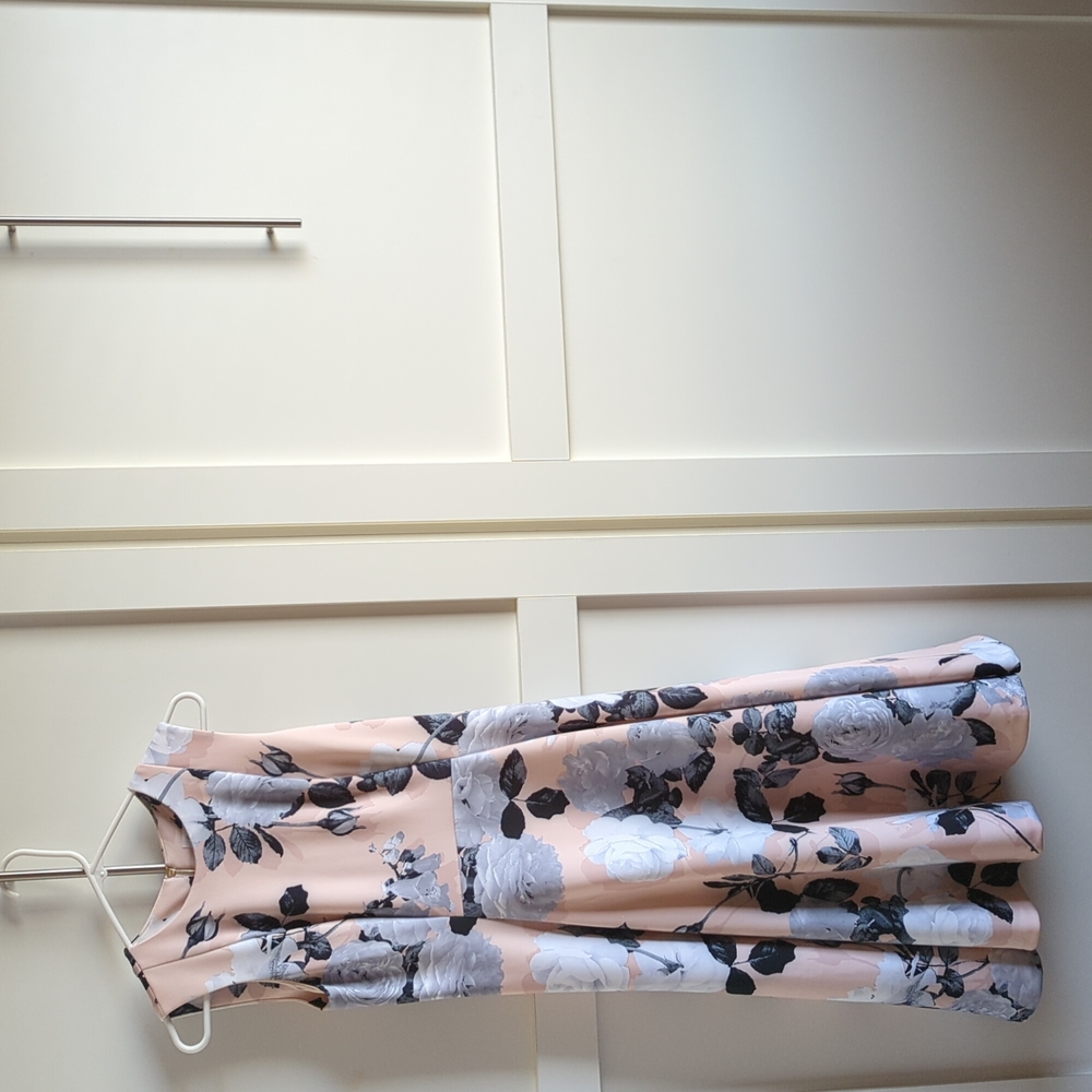 Calvin Klein size 6 Floral A-Line Dress